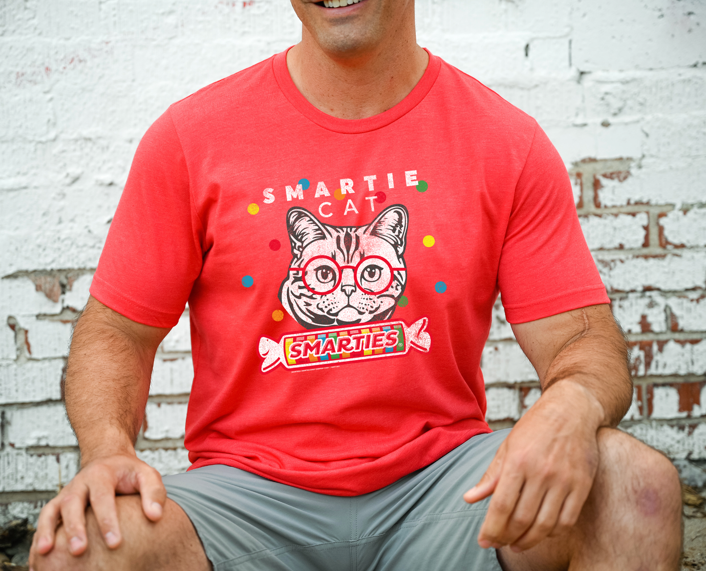 Smarties SmartieCat | Are you a SMARTIE CAT? Tee: Sport Grey, 2XL